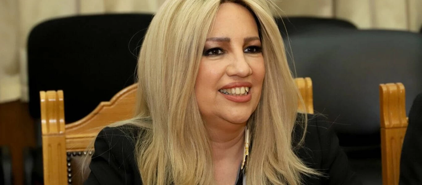 Φ.Γεννηματά: «Η Ευρώπη να επιβάλει εμπάργκο όπλων στην Τουρκία - Nα βάλει ''στοπ'' στις τουρκικές προκλήσεις»